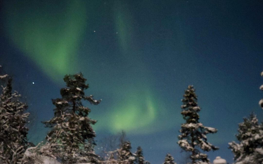 Reise ins Winter Wonderland – Schwedisch Lappland